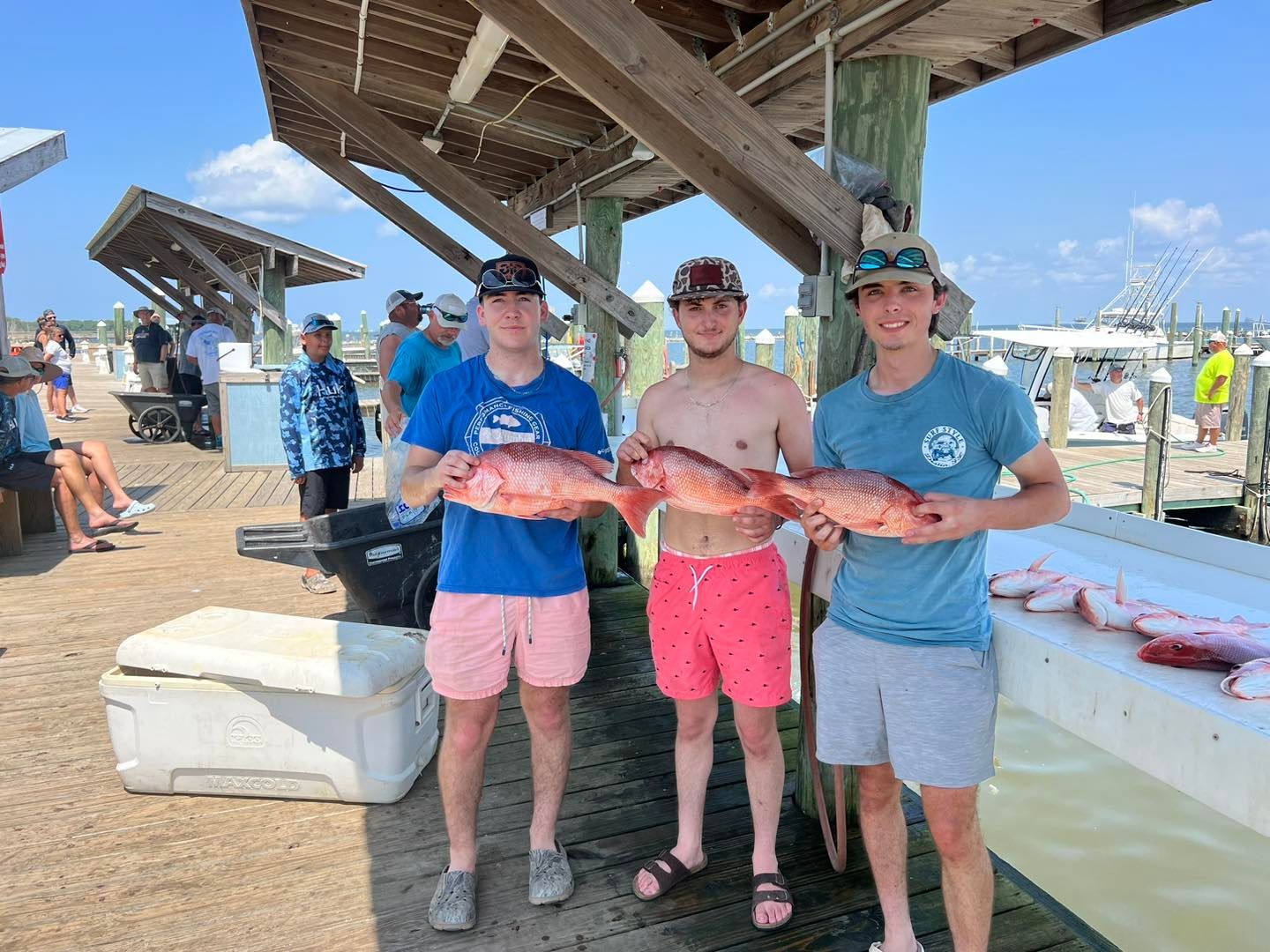Orange Beach Fishing Report
